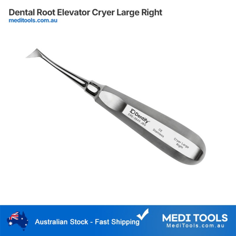 Dental Root Elevator Large Right