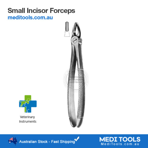 Small Incisors Forceps Veterinary