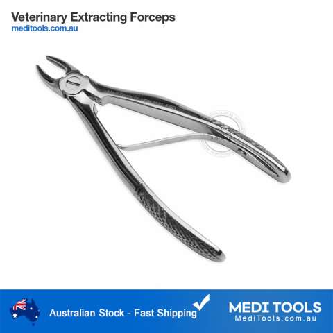 Veterinary Extracting Forceps Straight