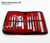 Birds Dissection Kit