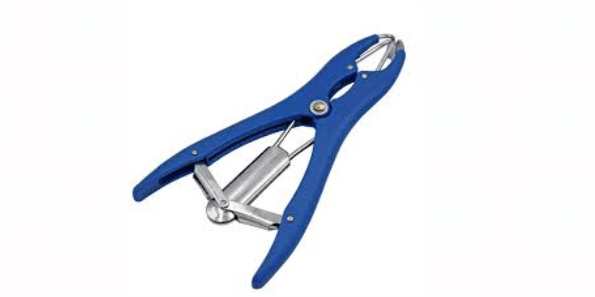 CASTRATING CALVES AND LAMBS