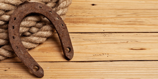 HOW TO PULL NAIL FROM HOOF