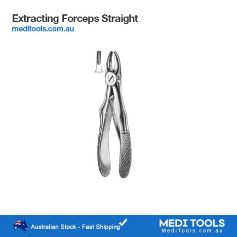 Small Incisors Forceps Veterinary