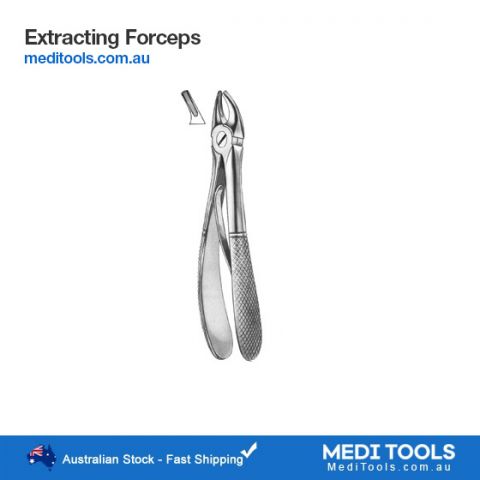 Veterinary Extracting Forceps Straight