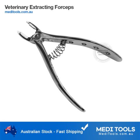 Veterinary Extraction Forceps Curved