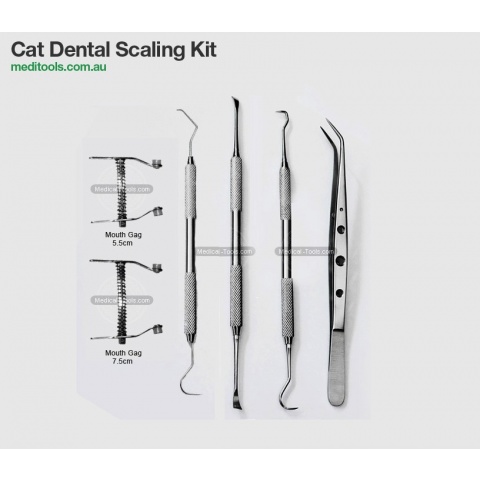 Basic Oral Surgery Kit