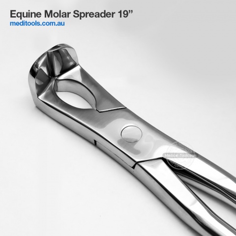 Equine 3 Prong Molar Forceps Right