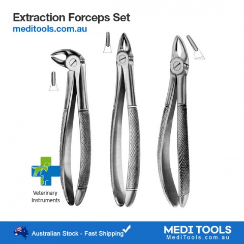 Small Incisors Forceps Veterinary