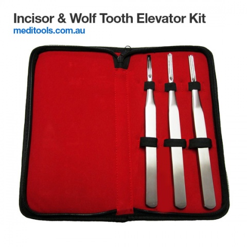 Incisors & Wolf Tooth Elevator Set