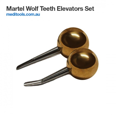Wolf Tooth Elevator Set - Incisors Elevators Set
