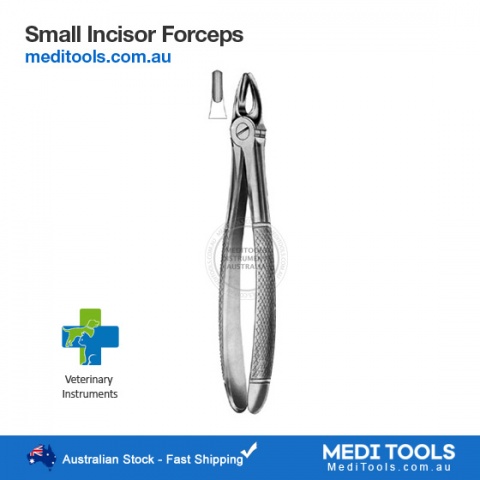 Extraction Forceps Straight