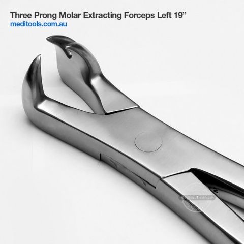 Dental,Equine STL.Steel Extraction Forcep,Hand Crafted Equinez Tools 19 & 12 Serrated Jaw Molar 